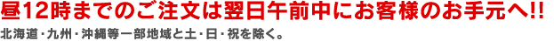 昼12時までのご注文は翌日午前中にお客様のお手元へ!! 北海道・九州・沖縄等一部地域と土・日・祝を除く。