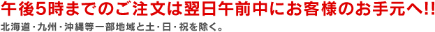 午後5時までのご注文は翌日午前中にお客様のお手元へ!! 北海道・九州・沖縄等一部地域と土・日・祝を除く。